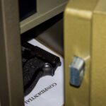 firearm safety - gun violence and mental health